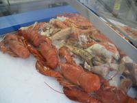 Meeresfrüchte aller Art am Fischmarkt