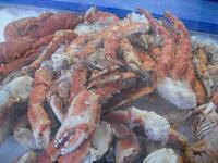 Königskrappen Fischmarkt Bergen