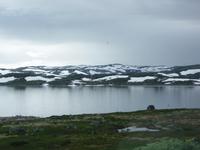 Hardangervidda