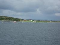 automatische Fischaufzucht