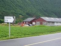 Valldal-Zentrum des Erdbeeranbau