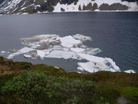 Eisschollen auf dem Djuvapvatnet