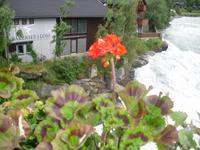 wir vor der Stabkirche