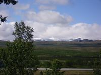 unterwegs im Dovrefjell