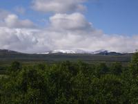 unterwegs im Dovrefjell