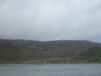 Etwas Grün ist noch da