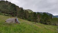 488 Gradhöhe des alten Königsweges bei Borgund