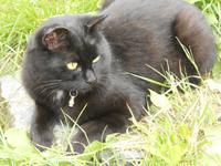 Ist sie nicht süß?