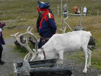 Bei den Samen am Nordkap