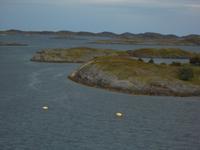 Vorüberziehende Landschaft