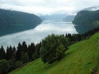Obstplantagen am Steilhang