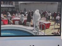 Polartaufe, AIDAluna