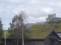 Geiranger Fjord, Hellesylt