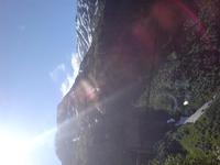 Eberhardt Ausflug Geiranger Fjord