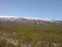Eberhardt Ausflug Geiranger Fjord