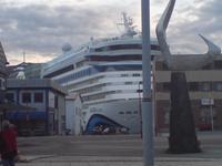 Hafen Honningsvag, Nordkap