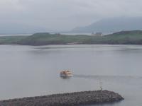 Reykjavik, Hafen