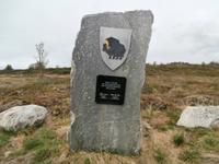 Stele im Dovre Fjell