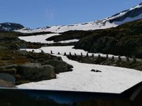 Fahrt auf der alten Strasse weg von Geiranger