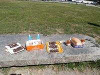 Picknick in Voss am See