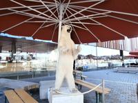 Bergen am Fischmarkt