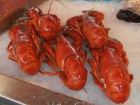 Bergen am Fischmarkt