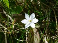 Jæren-Wanderung - Siebenstern