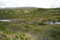 Dovrefjell