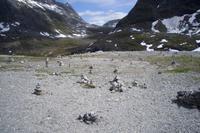 auf der Fahrt ins Valldal ...