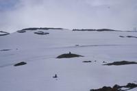 höchster Punkt der Sognefjell-Strasse (1.434 m)