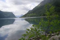 Lusterfjord
