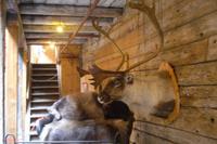 Hanseviertel Bryggen