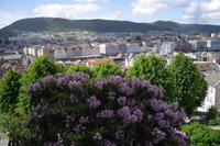Ausblick vom Floyen auf Bergen