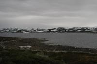 Hardangervidda