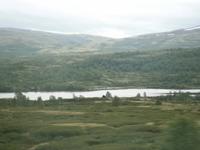 Dovrefjell