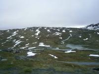 Sognefjell