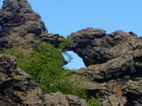 Lava-Irrgarten von Dimmuborgir