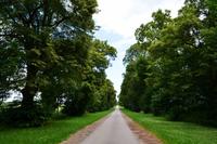 001 Denkmal Hakenberg