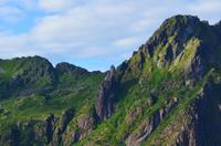 189 Ziege von Svolvaer Lofoten