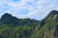 190 Ziege von Svolvaer Lofoten