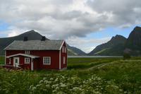213 Lofoten-Flakstad