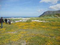 danach geht es auf in die Karibik der Lofoten