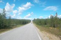 Waldtundrastraße in Finnland