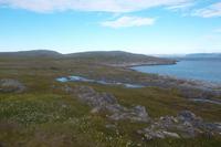 Blick über den Porsangerfjord