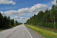 Durch die Weiten Wälder Finnlands...