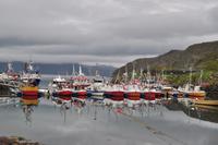 Zu Besuch bei Eva Schmutterer in Kamøyvær