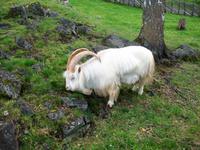 Freiluftmuseum Maihaugen