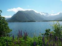 Unterwegs in den Fjorden