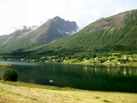 Unterwegs in den Fjorden