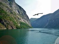 Kreuzfahrt auf dem Geirangerfjord